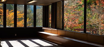 dayspa03